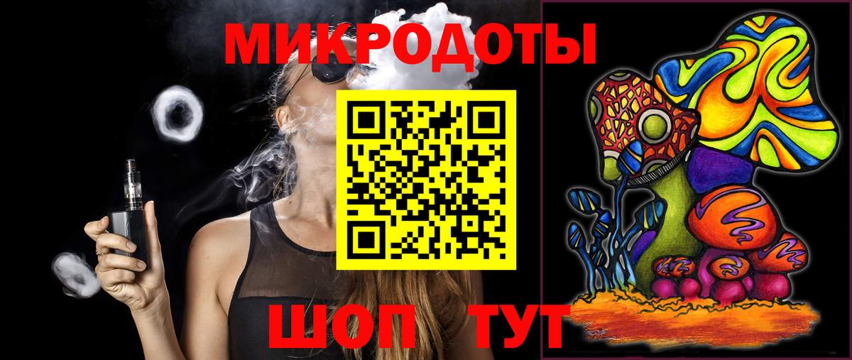 Галлюциногенные грибы Psilocybe Курганинск