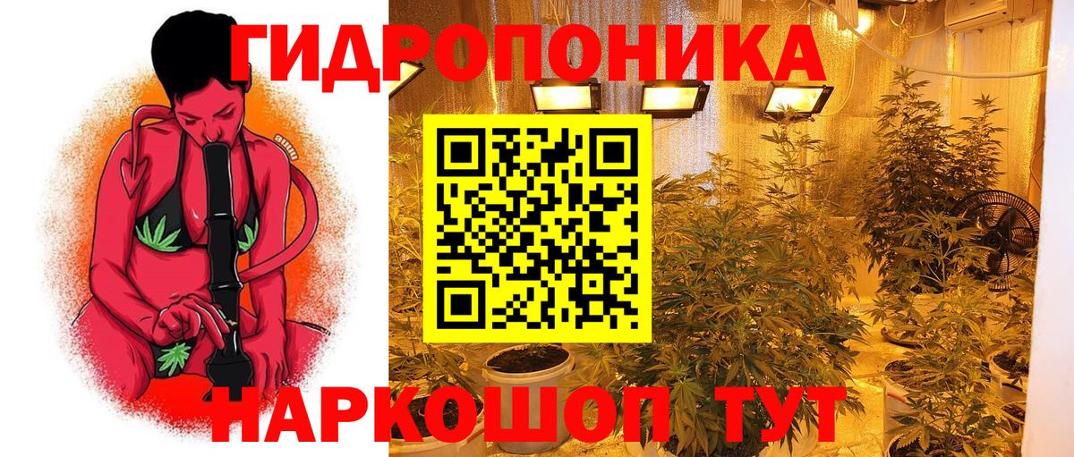 Марихуана THC 21% Курганинск